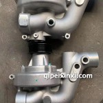 潍柴H10水泵总成